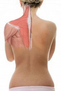 Лечение травм плечевого сустава в Израиле